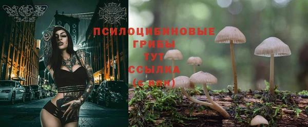 первитин Абаза