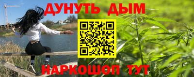 Альфа ПВП Кингисепп