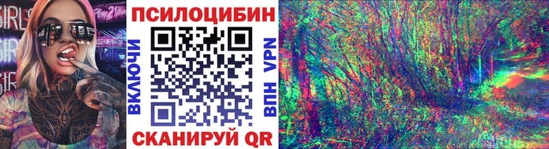купить  сайты  Людиново  Псилоцибиновые грибы Psilocybine cubensis 